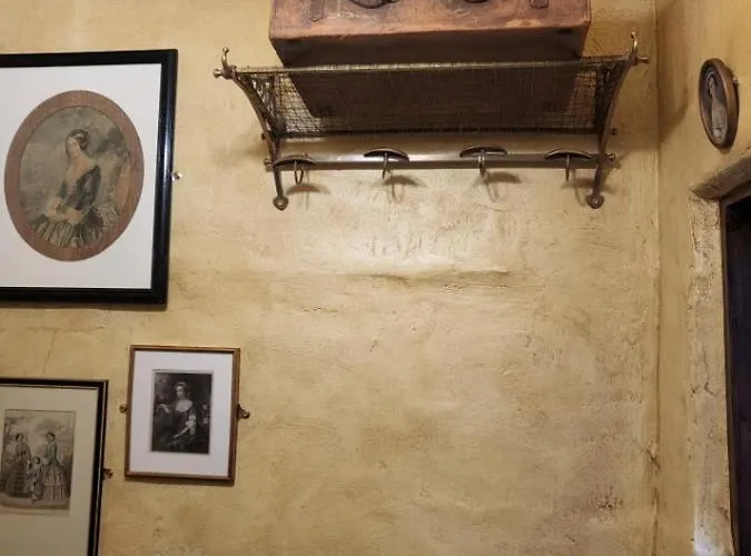 Homestay szállás Hocus Pocus Tiny