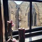 Hocus Pocus Tiny Homestay szállás York