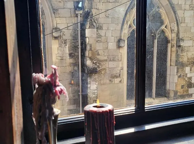 Hocus Pocus Tiny Homestay York