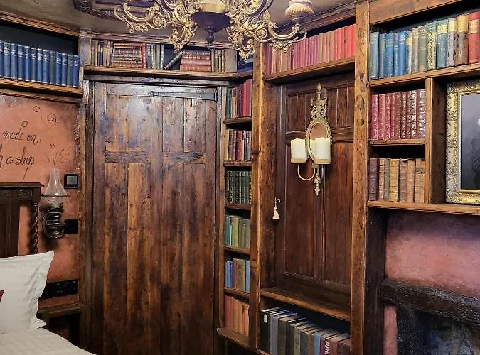 Hocus Pocus Tiny 约克