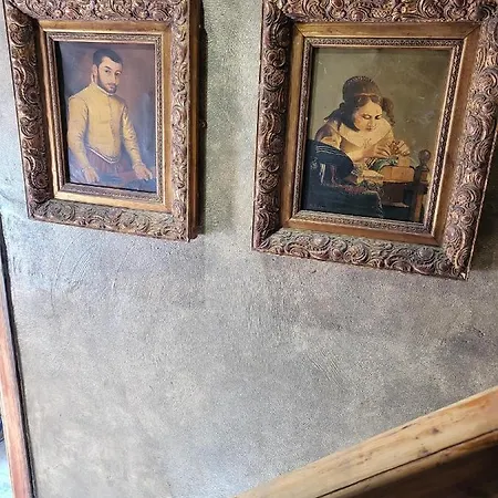 Дом отдыха Hocus Pocus Tiny *